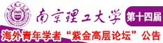 鸡巴插摸操逼喷水视频南京理工大学第十四届海外青年学者紫金论坛诚邀海内外英才！